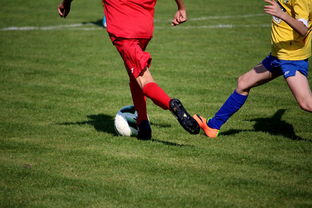 开云体育下载-NBA球员训练计划优化设计，nba运动员训练计划