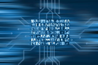 开云app下载安装-NBA球队市场营销数字化转型实践探索，nba营销模式